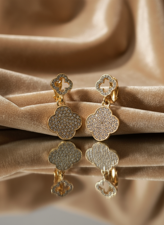 Luxurious Earring Photo