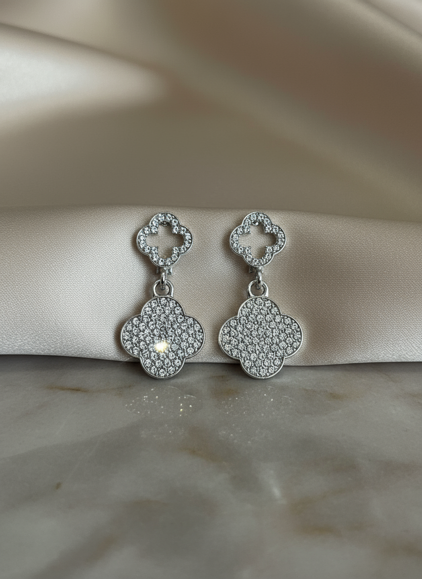 Luxurious Silver Earring Photo